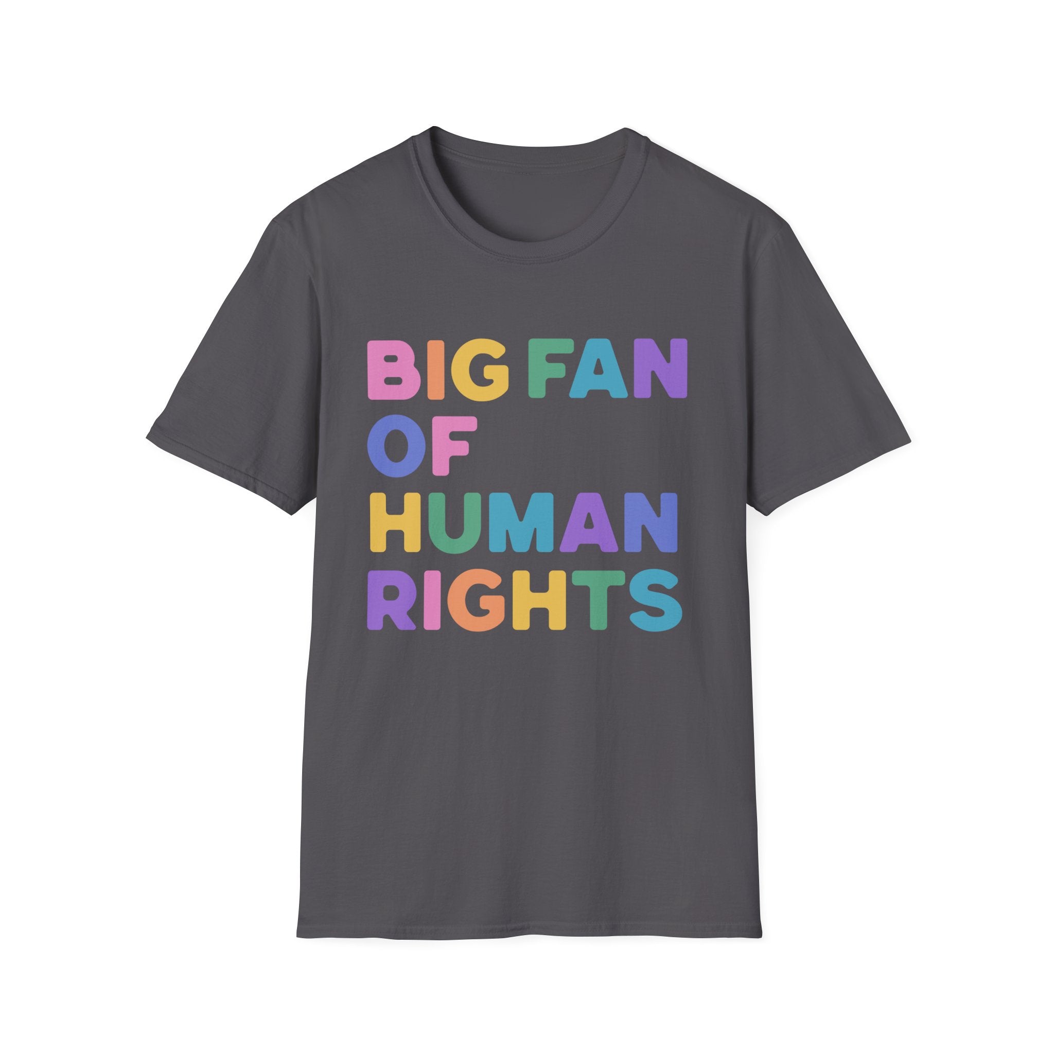 Big Fan of Human Rights T-Shirt