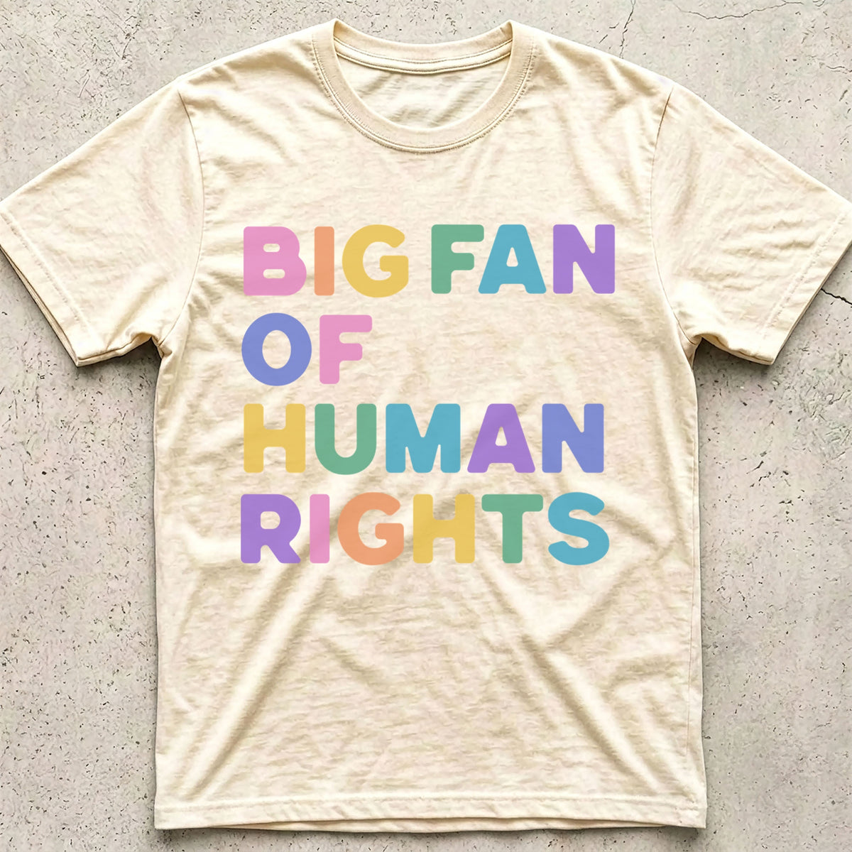 Big Fan of Human Rights T-Shirt