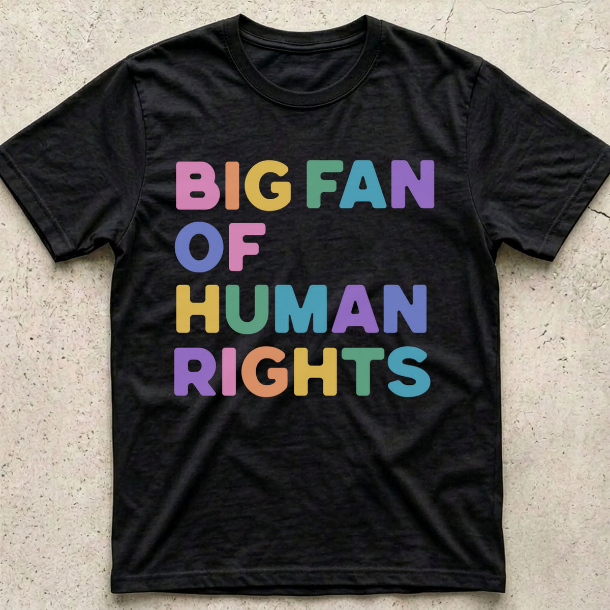 Big Fan of Human Rights T-Shirt