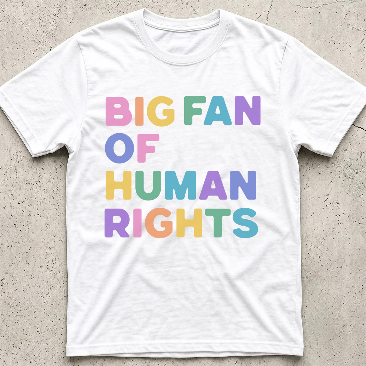 Big Fan of Human Rights T-Shirt